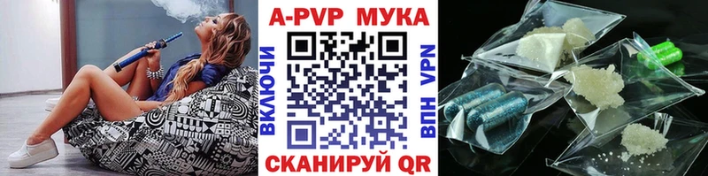 OMG как войти  darknet как зайти  Alpha PVP СК КРИС  Бологое 