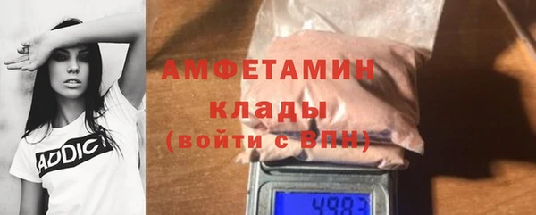 трава Корсаков