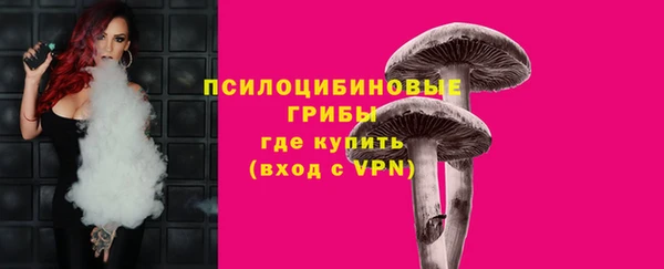 прущий лед Гусев