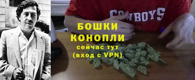 Канабис SATIVA & INDICA  Бологое 